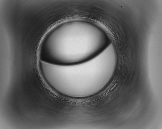 X0000098141528200804171109