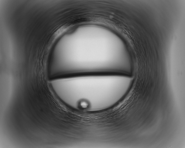 X0000098141529200804171109
