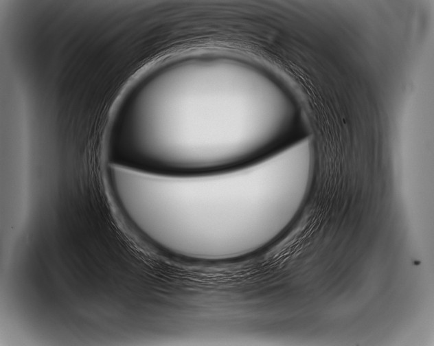 X0000098141530200804171109
