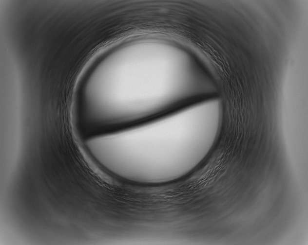 X0000098141531200804171109