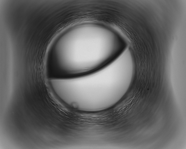 X0000098141532200804171109