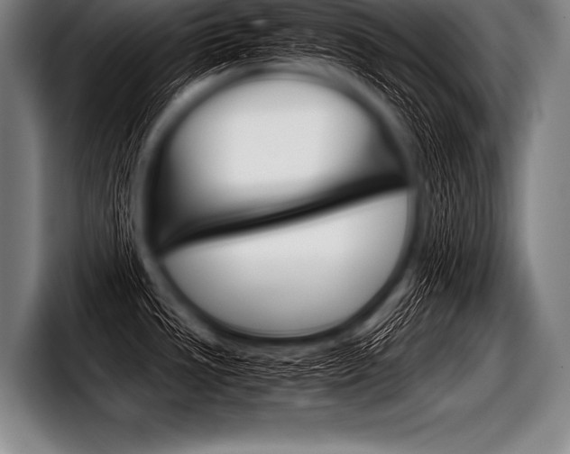 X0000098141533200804171109