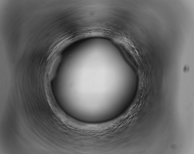 X0000098140001200804171559