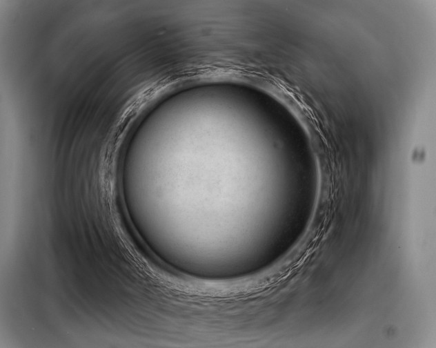 X0000098140002200804171559