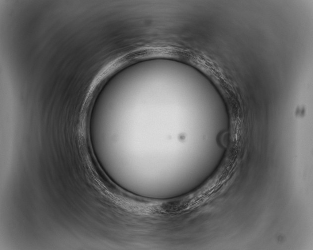 X0000098140004200804171559