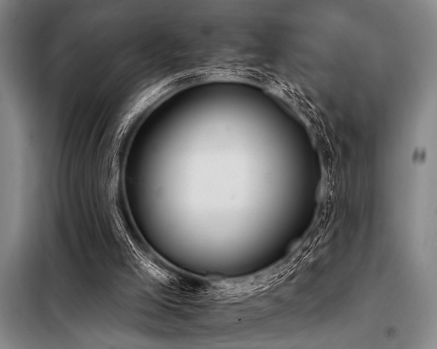 X0000098140005200804171559