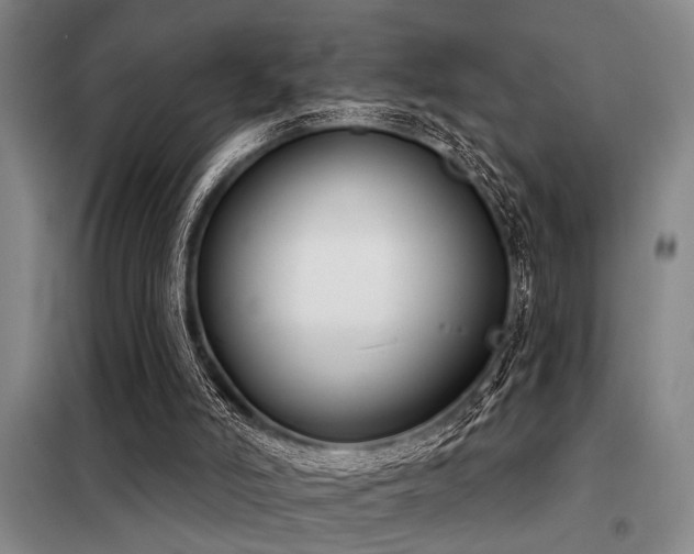 X0000098140006200804171559