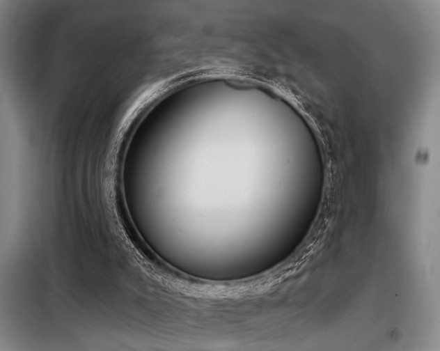 X0000098140007200804171559