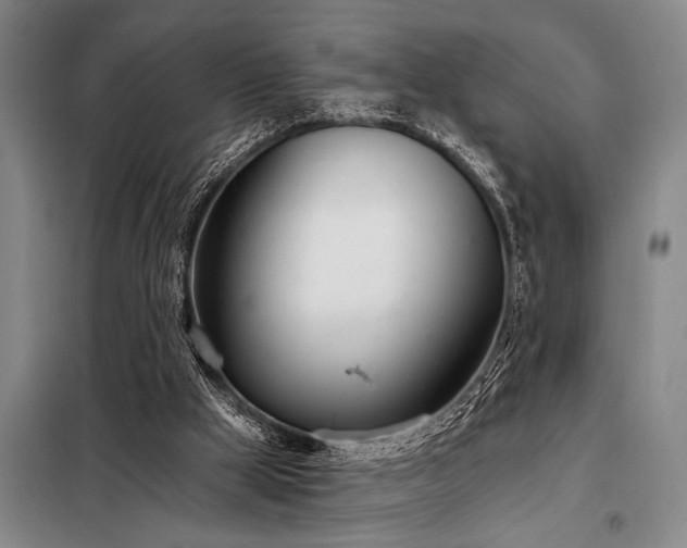 X0000098140009200804171559