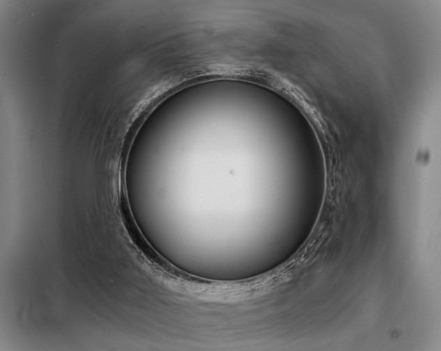 X0000098140011200804171559