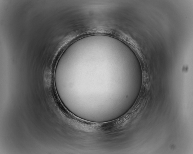 X0000098140012200804171559