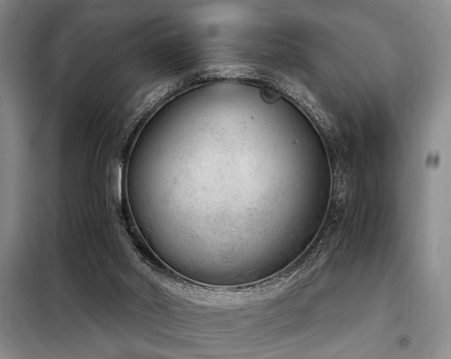 X0000098140014200804171559