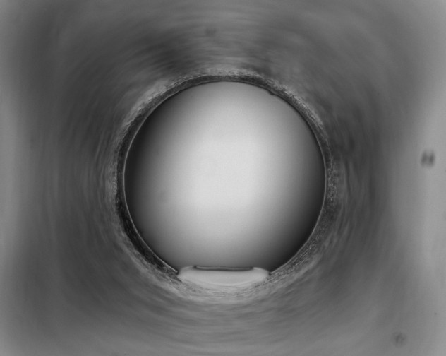 X0000098140015200804171559
