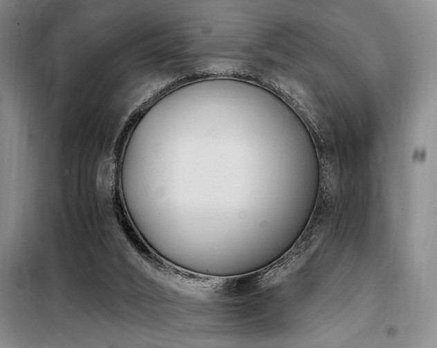 X0000098140016200804171559