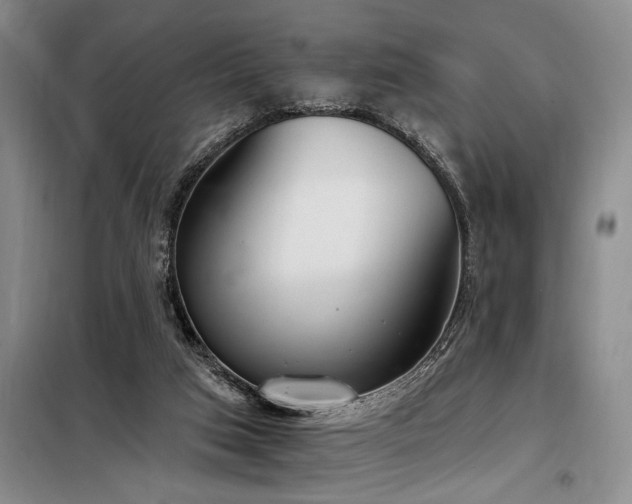 X0000098140017200804171559