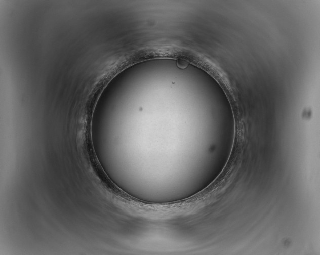 X0000098140018200804171559