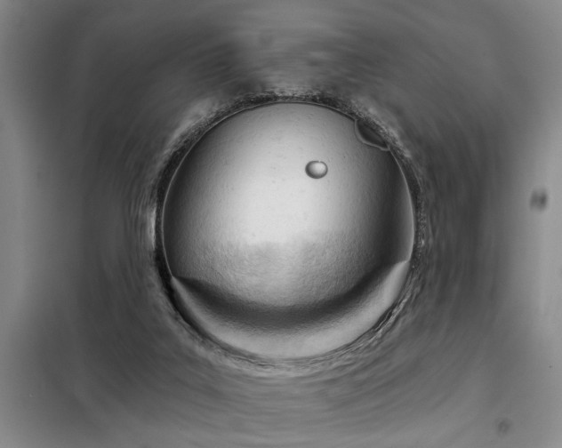 X0000098140019200804171559