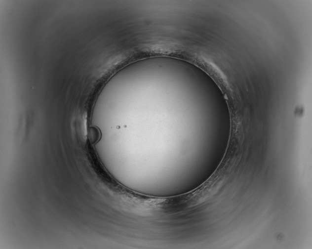 X0000098140020200804171559