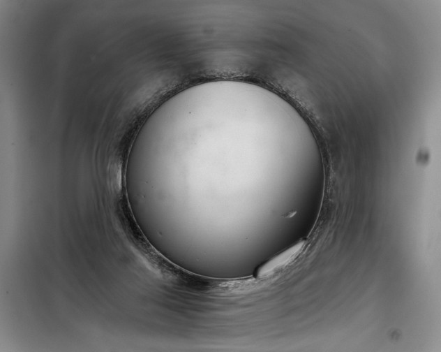X0000098140021200804171559