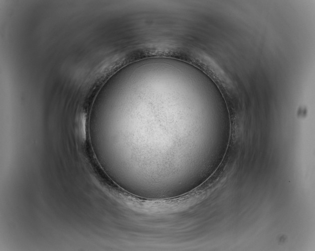 X0000098140022200804171559