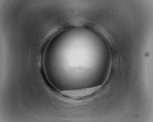X0000098140023200804171559