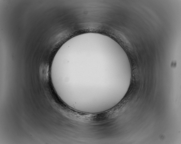 X0000098140024200804171559