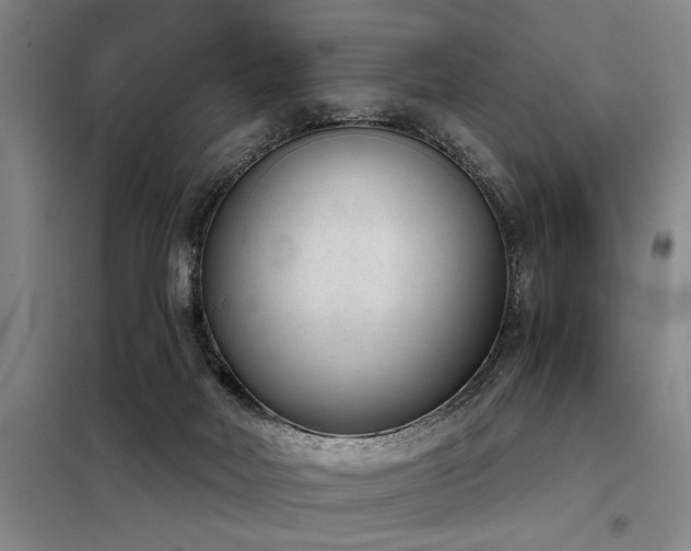 X0000098140026200804171559