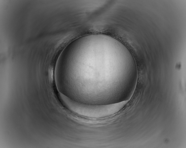 X0000098140027200804171559