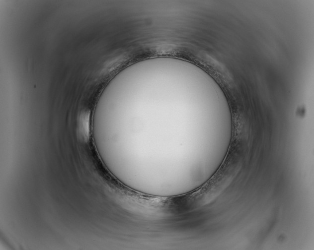 X0000098140028200804171559