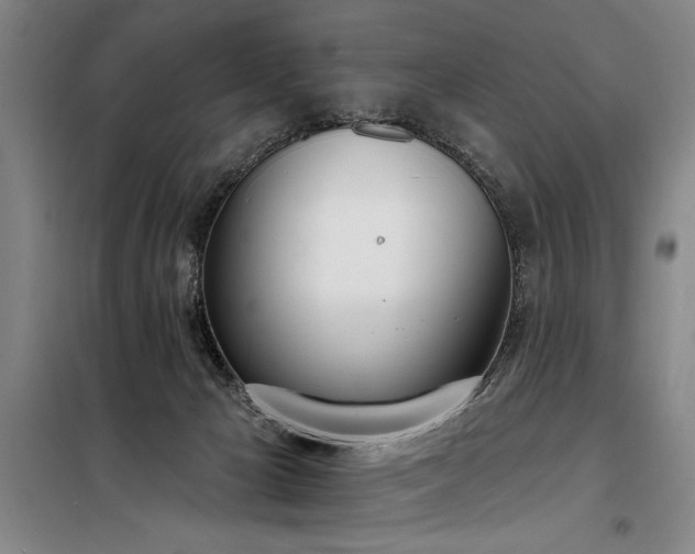 X0000098140029200804171559