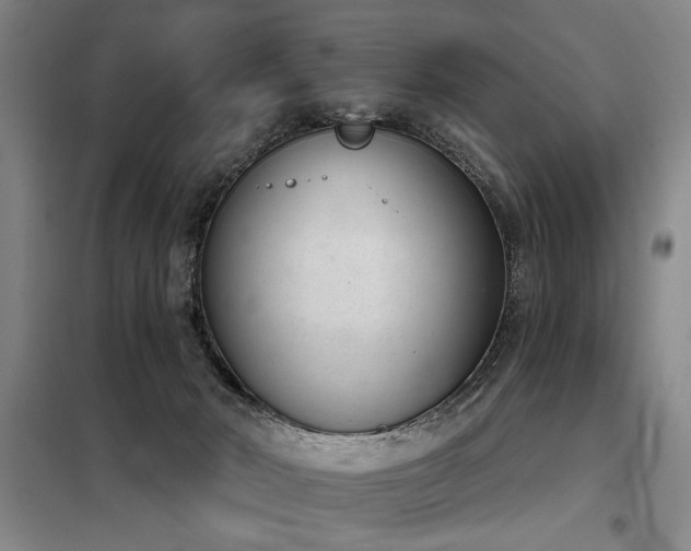 X0000098140030200804171558