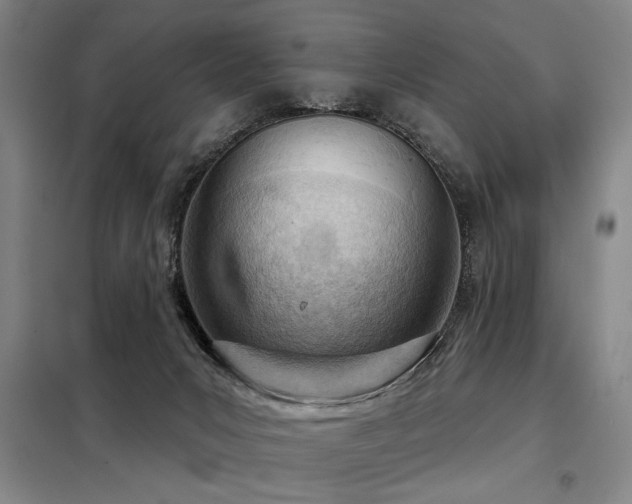 X0000098140031200804171558