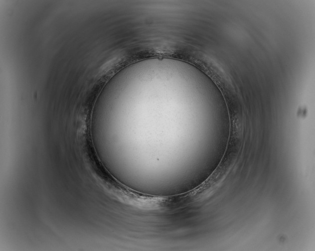 X0000098140032200804171558