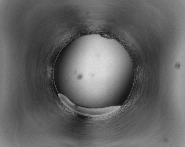 X0000098140033200804171558