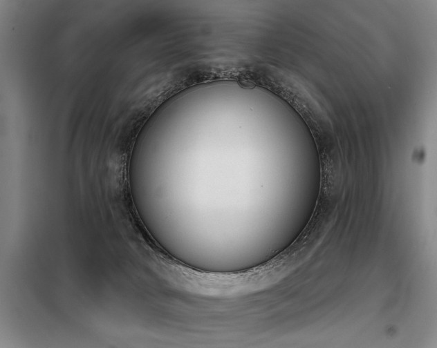 X0000098140034200804171558