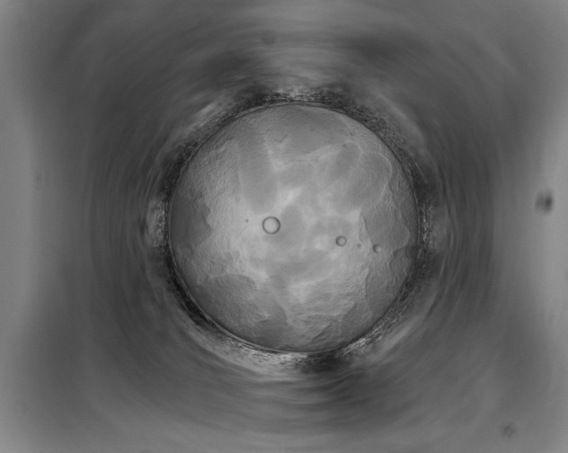 X0000098140036200804171558