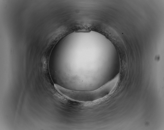 X0000098140037200804171558