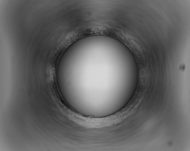 X0000098140038200804171558