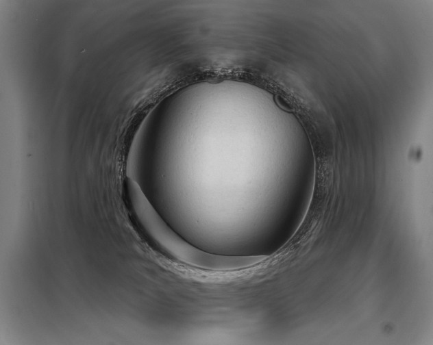 X0000098140039200804171558