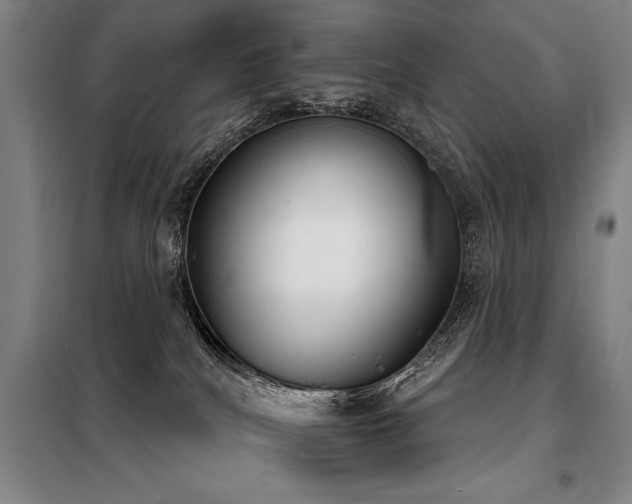 X0000098140040200804171558