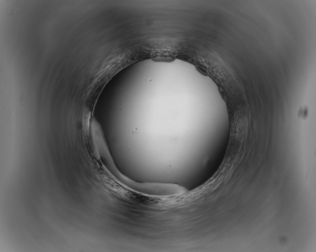X0000098140041200804171558