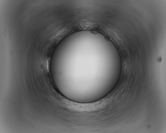 X0000098140042200804171558