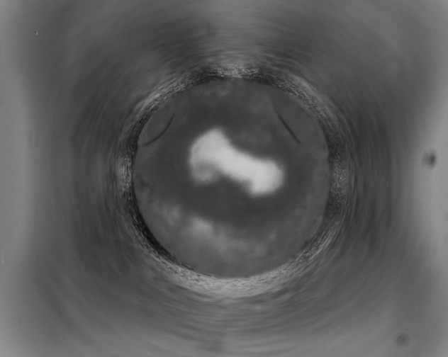 X0000098140043200804171558