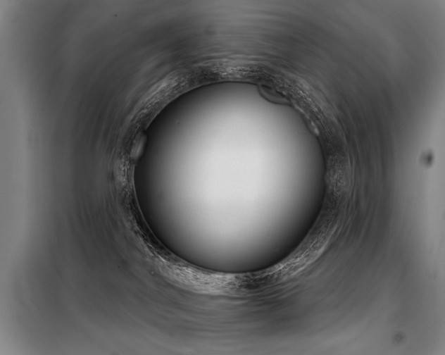 X0000098140044200804171558