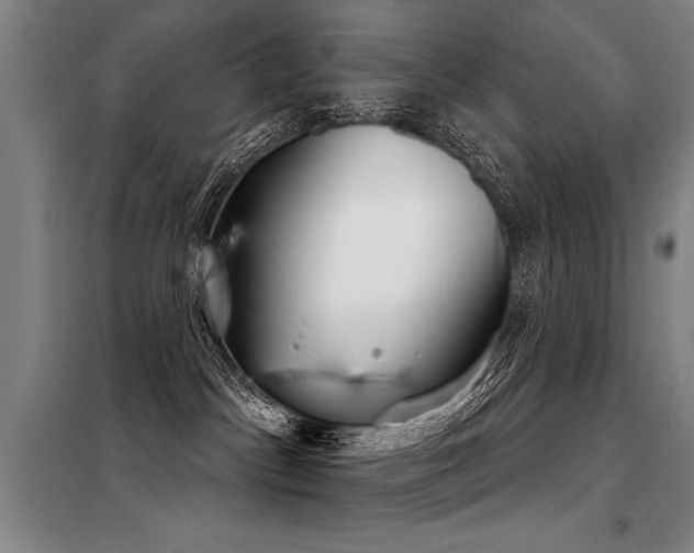 X0000098140045200804171558