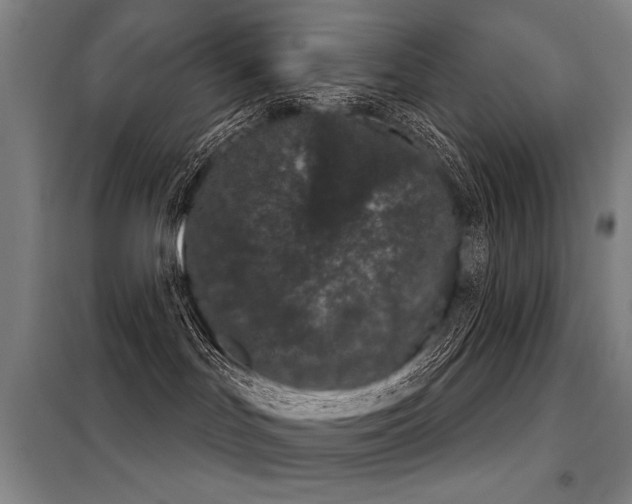 X0000098140047200804171558