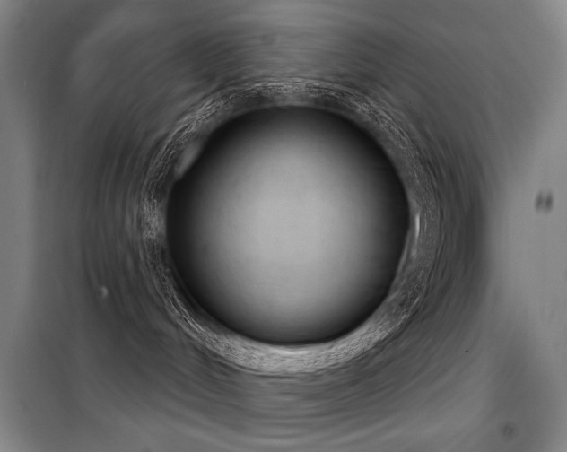 X0000098140048200804171558