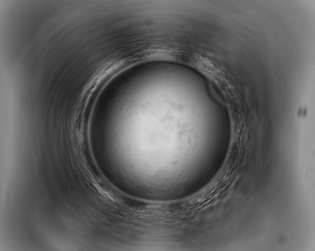 X0000098140050200804171557