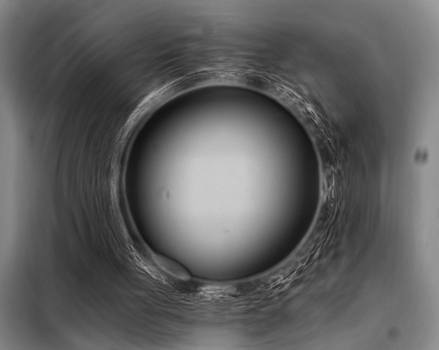 X0000098140051200804171557