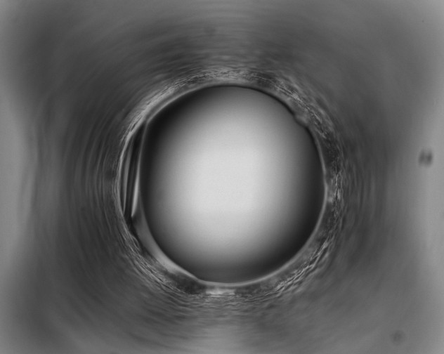 X0000098140052200804171557